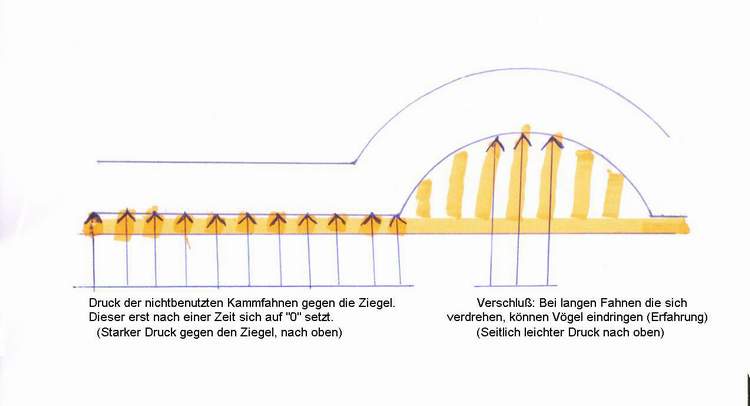 Schematische Darstellung der Druckverhältnisse bei einem Traufenkamm